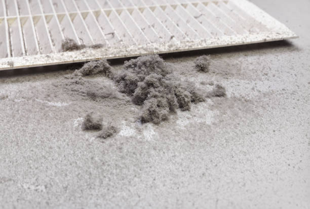 Ventilation Cleaning Services in Bonnie Brae, IL