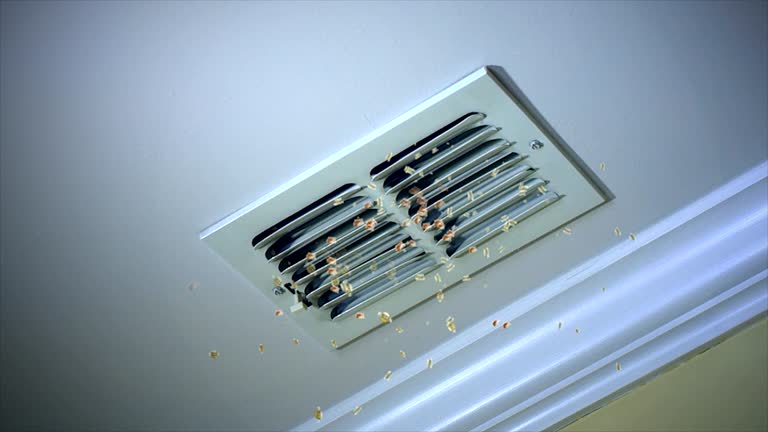 Best Affordable HVAC Duct Cleaning  in Bonnie Brae, IL