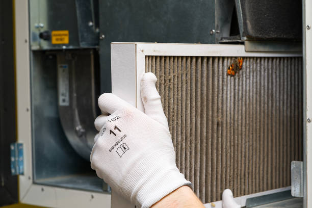 Home Air Vent Cleaning in Bonnie Brae, IL